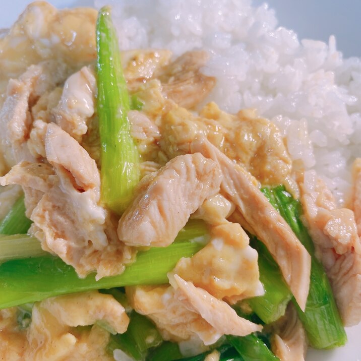 サラダチキンで！ネギ玉丼